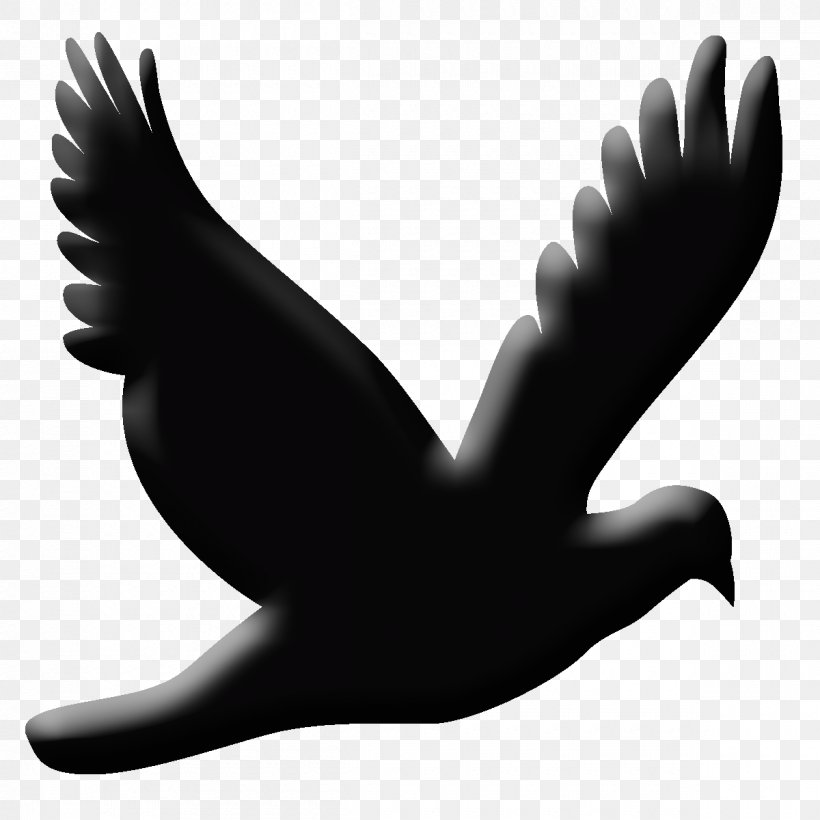 Silhouette Bird Design Beak Image, PNG, 1200x1200px, Silhouette, Beak, Bird, Black, Black And White Download Free