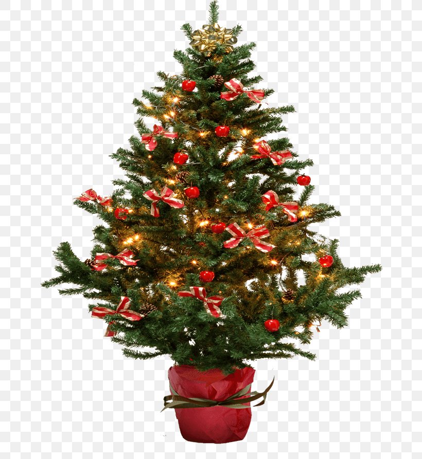 Christmas Tree Fir, PNG, 671x893px, Christmas, Branch, Christmas Decoration, Christmas Ornament, Christmas Tree Download Free