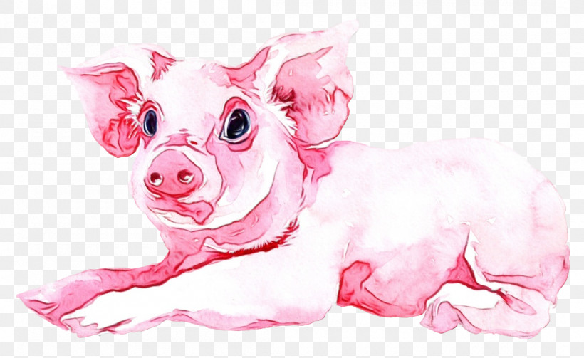 Pink Suidae Snout Nose Livestock, PNG, 1100x676px, Watercolor Pig, Animal Figure, Drawing, Livestock, Nose Download Free