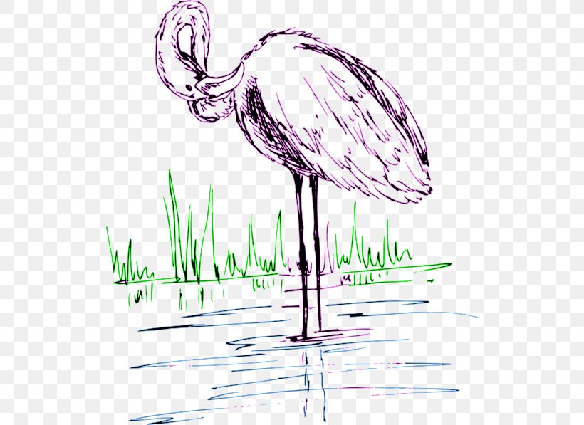Water Bird Drawing Clip Art, PNG, 522x597px, Water Bird, Art, Artwork, Beak, Bird Download Free