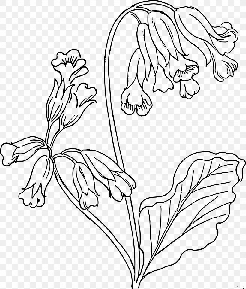 Drawing Cowslip Clip Art, PNG, 2045x2400px, Drawing, Art, Black And White, Branch, Coloring Book Download Free