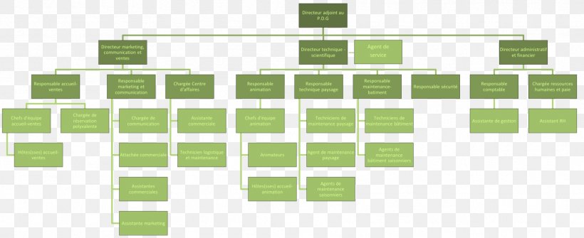 Organizational Chart Craft Marketing Terra Botanica Open Space Reserve, PNG, 1819x744px, Organizational Chart, Area, Craft, Elevation, Empresa Download Free