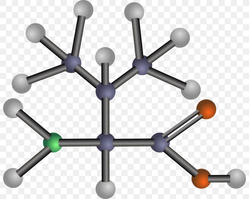 Amino Acid Valine Methionine Threonine, PNG, 800x656px, Amino Acid, Acid, Alanine, Amine, Asparagine Download Free