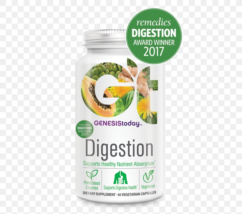 Digestion Prebiotic Gastrointestinal Tract Superfood, PNG, 450x725px, Digestion, Dietary Fiber, Flavor, Food, Gastrointestinal Tract Download Free