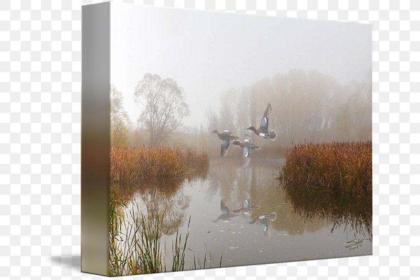 Watercolor Painting Water Resources Landscape Bird, PNG, 650x547px, Painting, Bird, Calm, Fog, Landscape Download Free