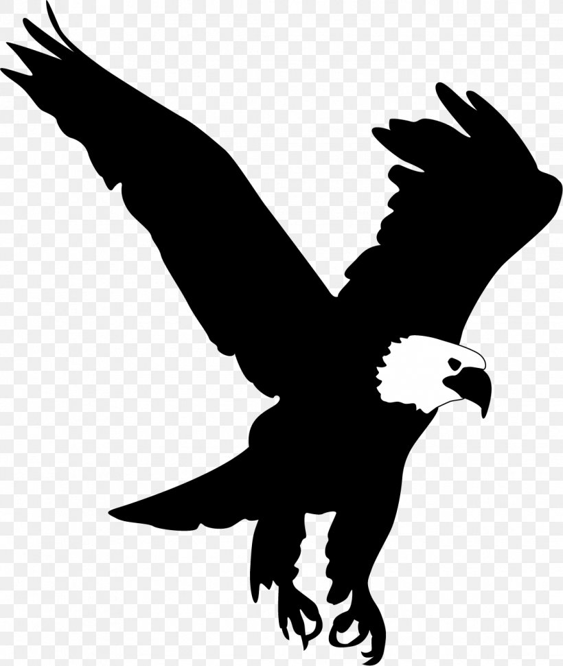 Bald Eagle Clip Art, PNG, 1135x1343px, Bald Eagle, Art, Beak, Bird, Bird Of Prey Download Free