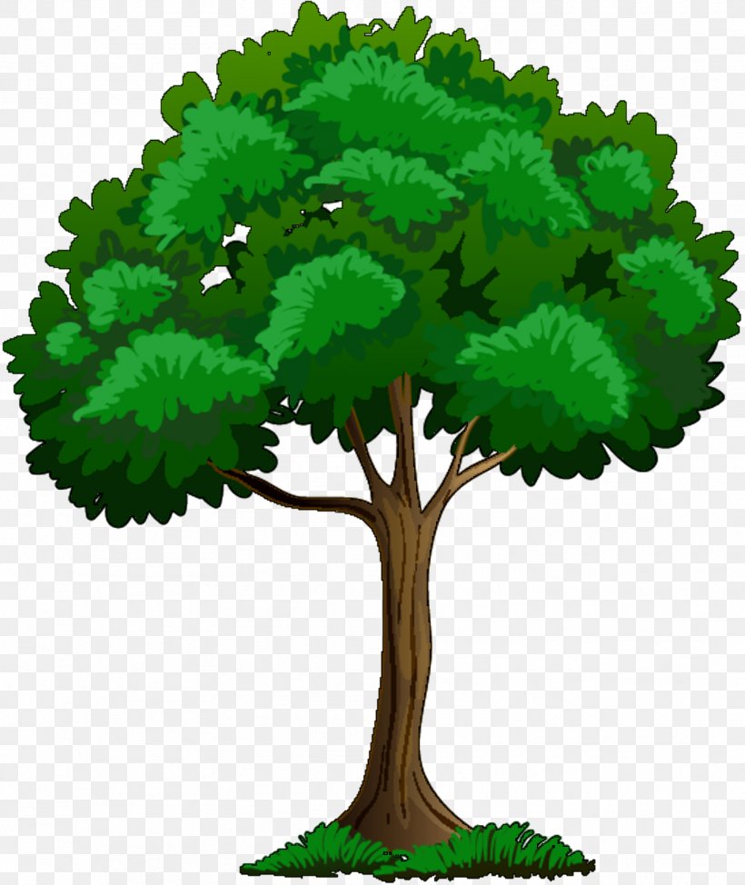 Clip Art Vector Graphics Illustration Tree, PNG, 1812x2154px, Tree, Annual Plant, Arbor Day, Botany, Elm Download Free