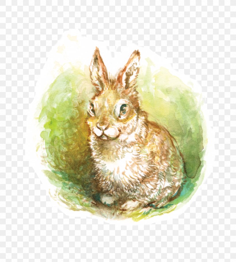 Domestic Rabbit Watercolor Painting Hare Watercolor: Animals, PNG, 1800x2000px, Domestic Rabbit, Animal, Atlas Games, Brown Hare, Drawing Download Free