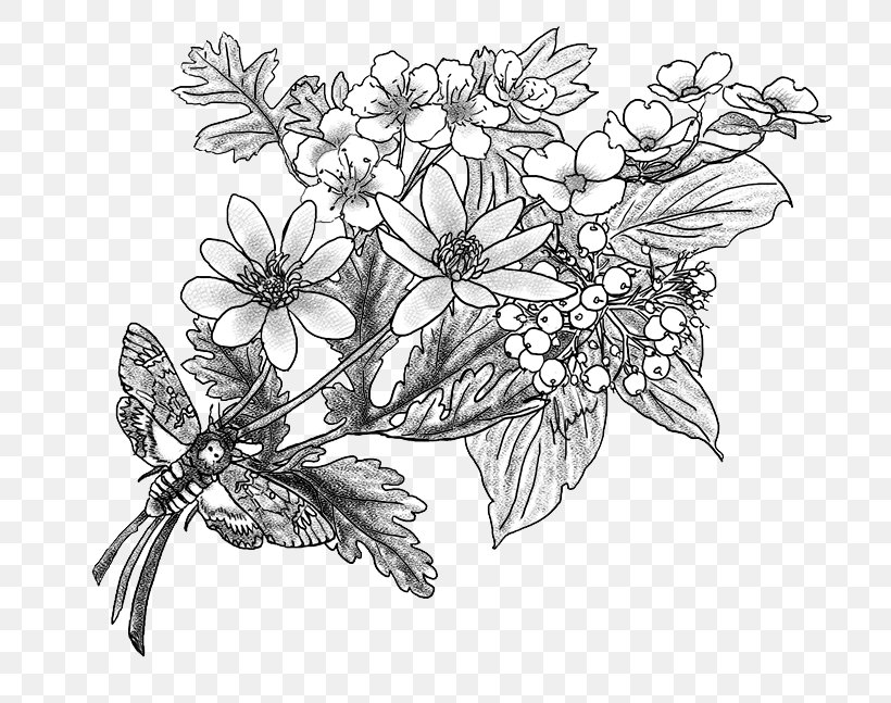 Flower Tree Drawing Sketch, PNG, 777x647px, Flower, Art, Artwork, Black And White, Branch Download Free