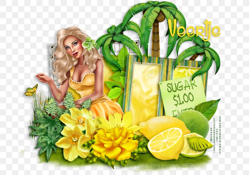 Liqueur Herbalism Tourism Travel Agent, PNG, 685x576px, Liqueur, Food, Fruit, Herbalism, Lime Download Free