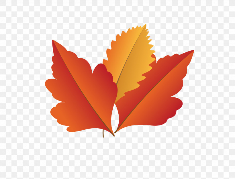 Maple Leaf, PNG, 3000x2288px, Autumn Leaf, Biology, Cartoon Leaf, Computer, Fall Leaf Download Free