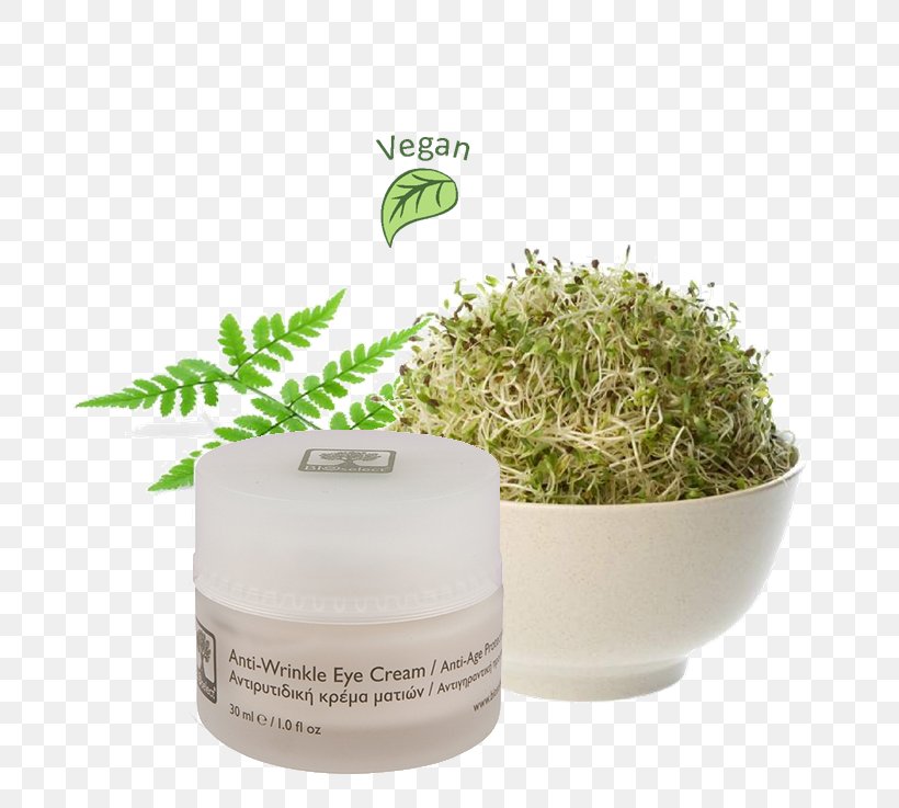 Alfalfa Sprouts Sprouting Seed Organic Food, PNG, 750x737px, Alfalfa, Alfalfa Sprouts, Bean Sprout, Cream, Flowerpot Download Free