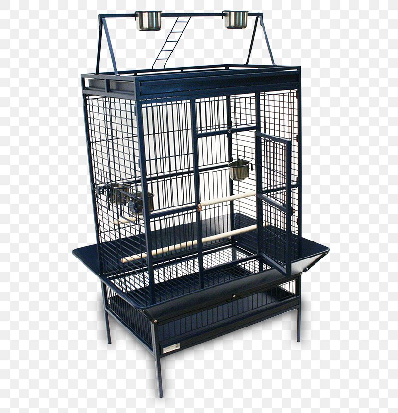 Birdcage Birdcage True Parrot Pet, PNG, 568x850px, Cage, Animal, Bed, Bird, Birdcage Download Free