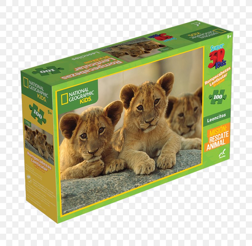 Lion Earth Scholastic Corporation Fauna Wildlife, PNG, 800x800px, Lion, Big Cats, Book, Carnivoran, Cat Like Mammal Download Free