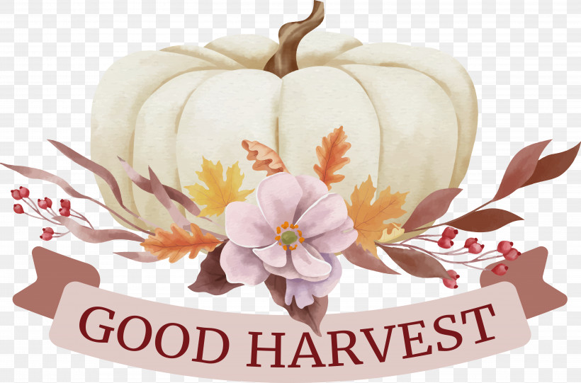 Thanksgiving, PNG, 6038x3987px, Good Harvest, Thanksgiving Download Free