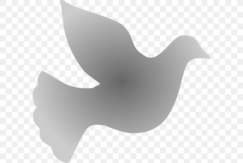 Duck Beak Font, PNG, 600x553px, Duck, Beak, Bird, Black And White, Ducks Geese And Swans Download Free