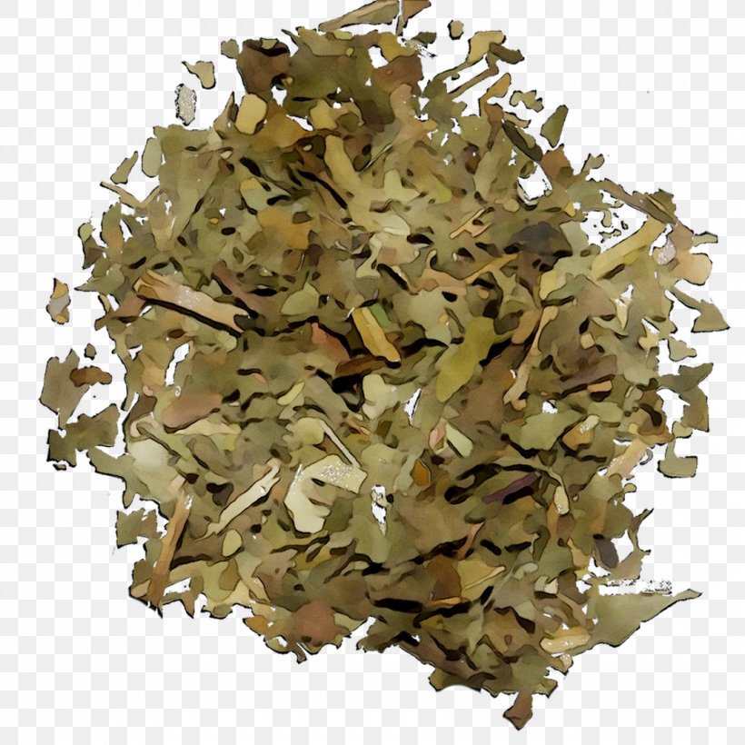 Green Tea Herbal Tea Tea Production In Sri Lanka Ceylon Tea, PNG, 1080x1080px, Tea, Ceylon Tea, Cuisine, Food, Green Tea Download Free