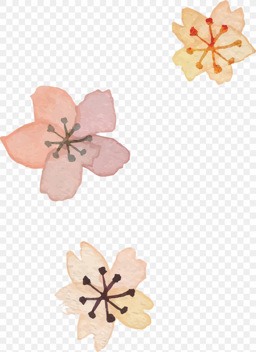 Pink Petal Plant Flower, PNG, 2183x2999px, Pink, Flower, Petal, Plant Download Free