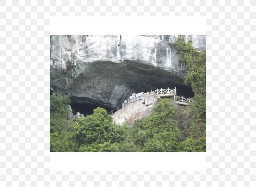 Ha Long Bay Hang Sửng Sốt Cave Fauna Ecosystem, PNG, 800x600px, Ha Long Bay, Bay, Cave, Ecosystem, Fauna Download Free
