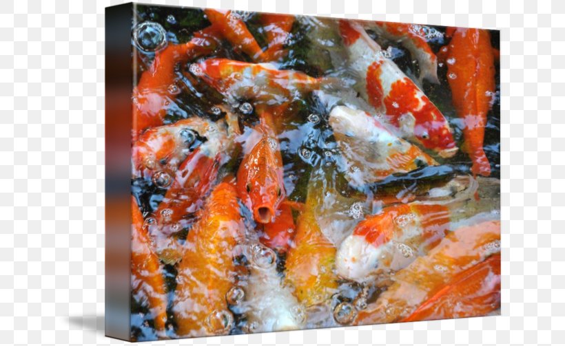 Shrimp Recipe, PNG, 650x503px, Shrimp, Animal Source Foods, Dish, Recipe, Seafood Download Free