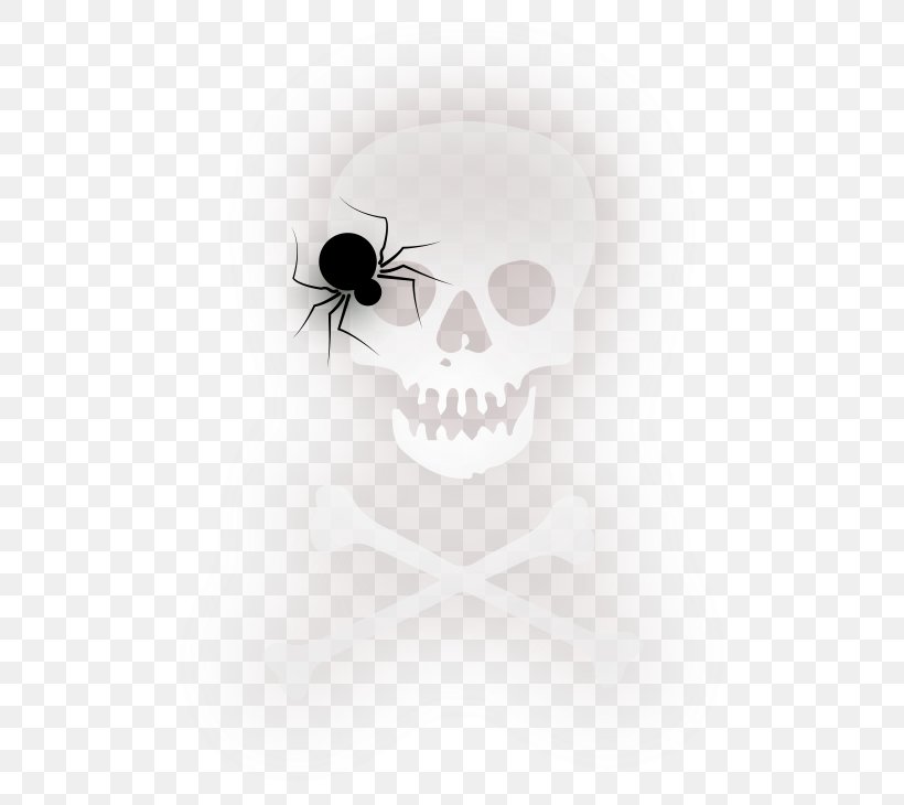 Spider Halloween Clip Art, PNG, 540x730px, Spider, Art, Black, Black And White, Bone Download Free