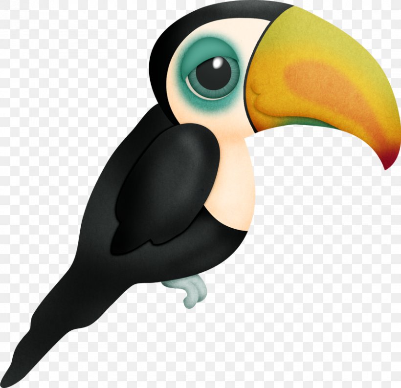 Bird Toucan Animal Drawing Clip Art, PNG, 855x828px, Bird, Animal, Animation, Beak, Character Download Free