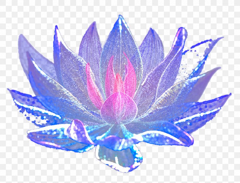 Blue Flower, PNG, 900x687px, Blue, Aquatic Plant, Blue Flower, Drawing, Dream Download Free