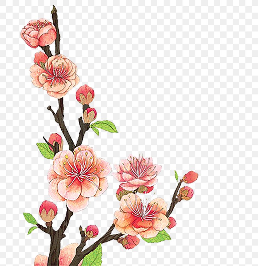 Graphic Design Plum Blossom Clip Art, PNG, 700x845px, Plum Blossom, Blossom, Branch, Cherry Blossom, Cut Flowers Download Free