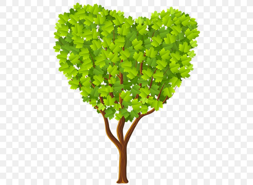 Heart Tree Clip Art, PNG, 494x600px, Heart, Arecaceae, Branch, Flowerpot, Free Content Download Free