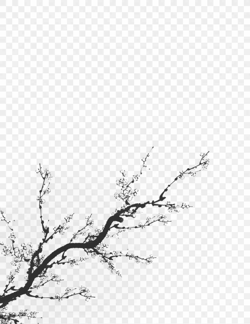 Shadow Icon, PNG, 2550x3300px, Shadow, Black And White, Branch, Designer, Leaf Download Free