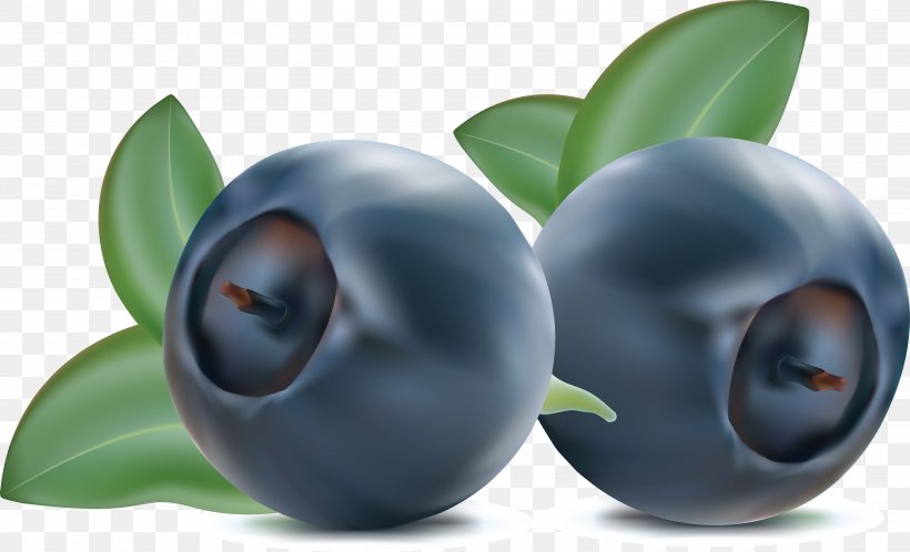 Juice European Blueberry Bilberry, PNG, 5693x3461px, Blueberry, Berry, Bilberry, Computer Graphics, Concepteur Download Free