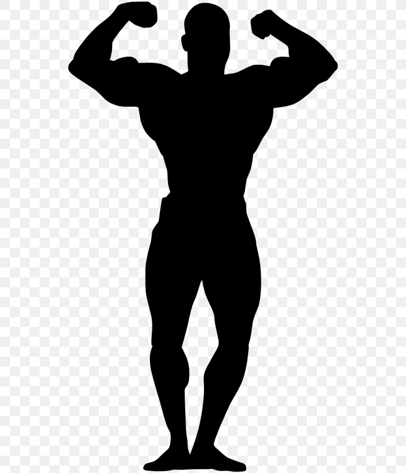 Female Bodybuilding Art Clip Art, PNG, 550x955px, Bodybuilding, Arm, Art, Biceps, Black And White Download Free