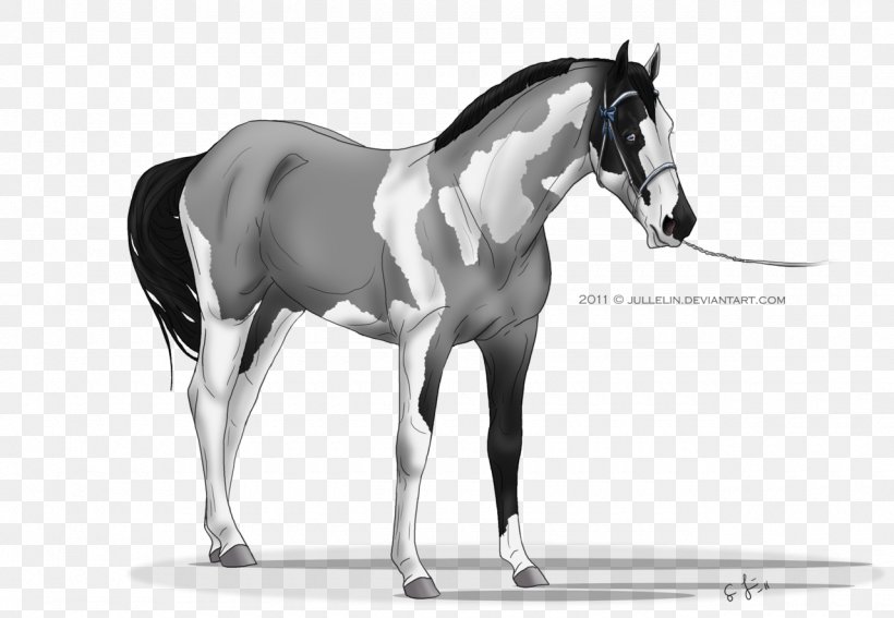Mane Mustang Stallion Foal Colt, PNG, 1280x886px, Mane, Black And White, Bridle, Colt, Foal Download Free