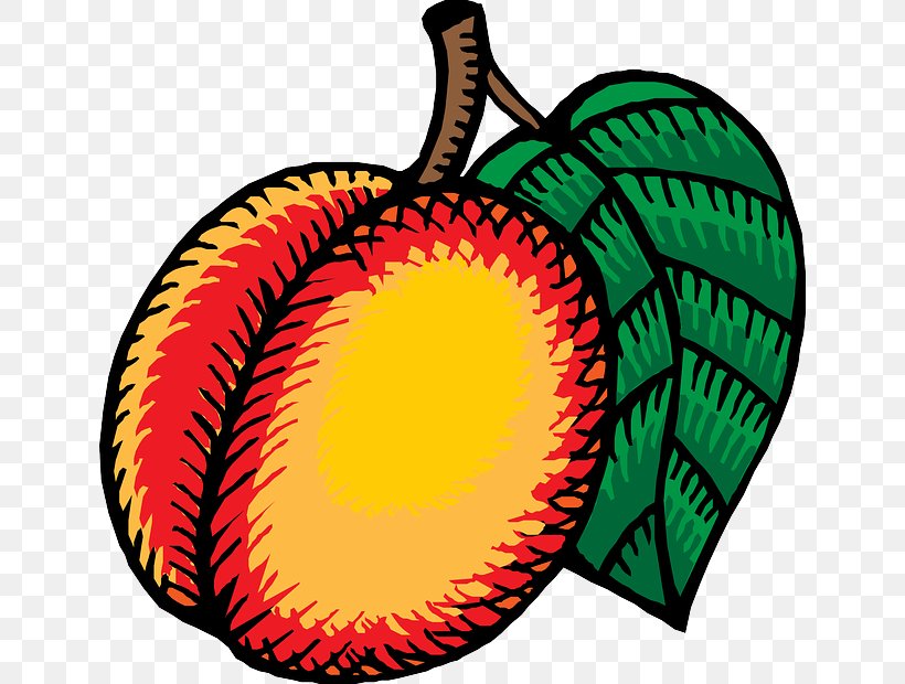 Nectarine Clip Art, PNG, 640x620px, Nectarine, Coloring Book, Food, Fruit, Leaf Download Free