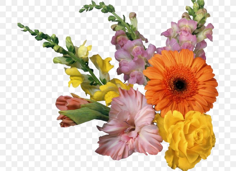 Flower Clip Art Desktop Wallpaper GIF, PNG, 699x594px, Flower, Annual Plant, Artificial Flower, Blue Rose, Chrysanths Download Free