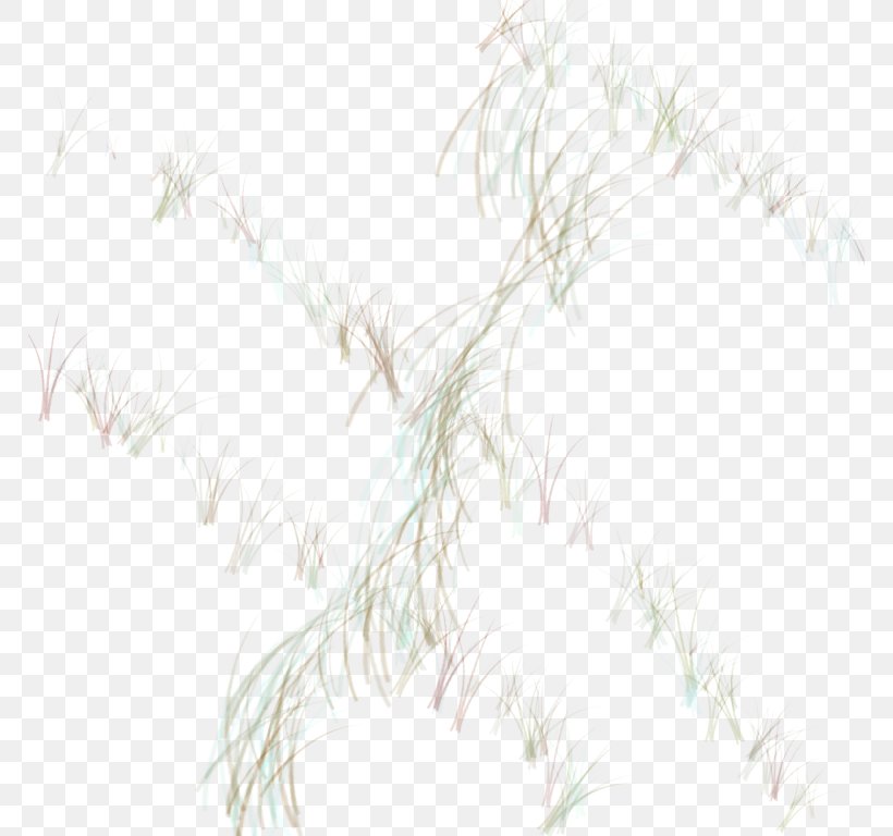 Drawing /m/02csf Line White Sky Plc, PNG, 768x768px, Drawing, Black And White, Branch, Grass, Sky Download Free