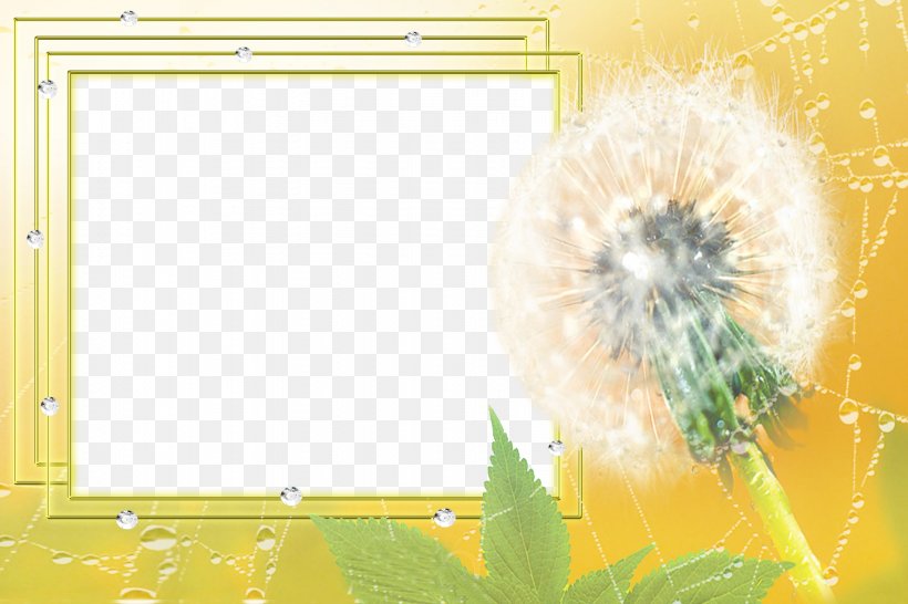 Drawing Picture Frame Software, PNG, 1774x1183px, Drawing, Designer, Flower, Grass, Organism Download Free