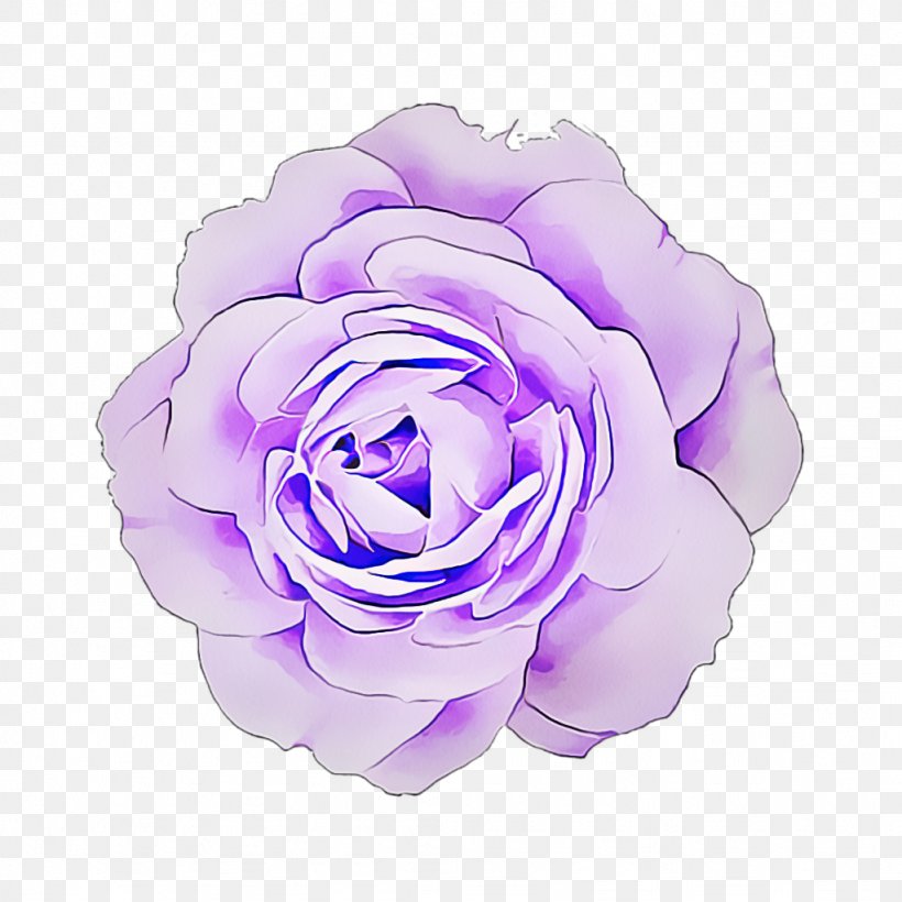 Garden Roses, PNG, 1024x1024px, Violet, Flower, Garden Roses, Lavender, Petal Download Free