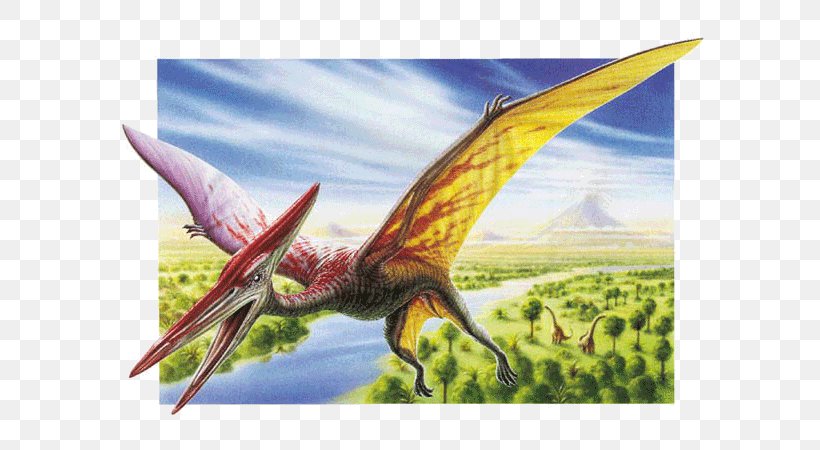 Pterodactyl Pteranodon Quetzalcoatlus Pterosaurs Dinosaur, PNG, 600x450px, Pterodactyl, Animal, Beak, Bird, Coloring Book Download Free