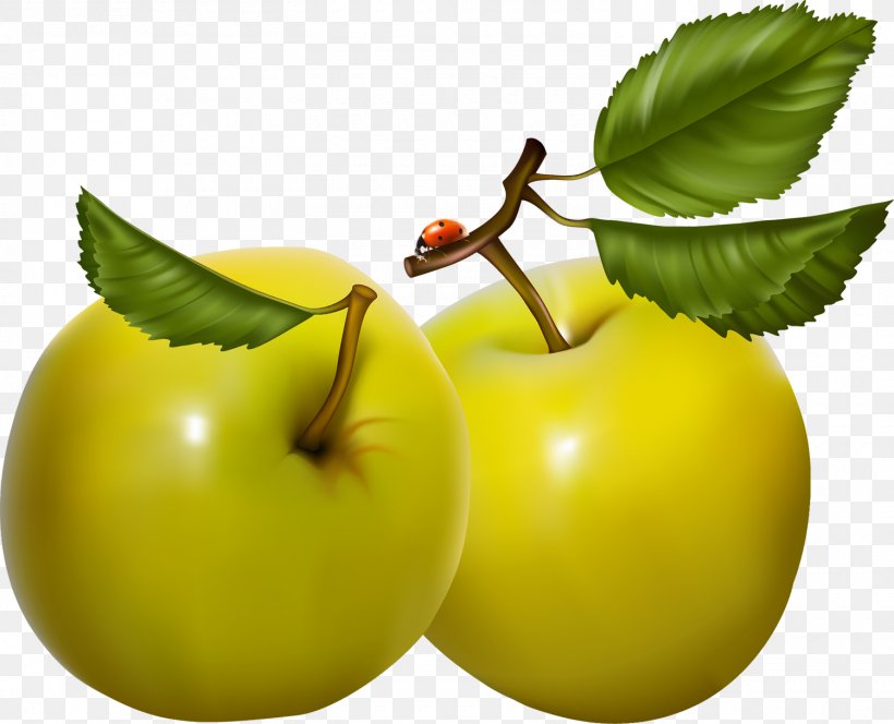 Art Fruit, PNG, 1500x1216px, Art, Apple, Architecture, Auglis, Diet Food Download Free