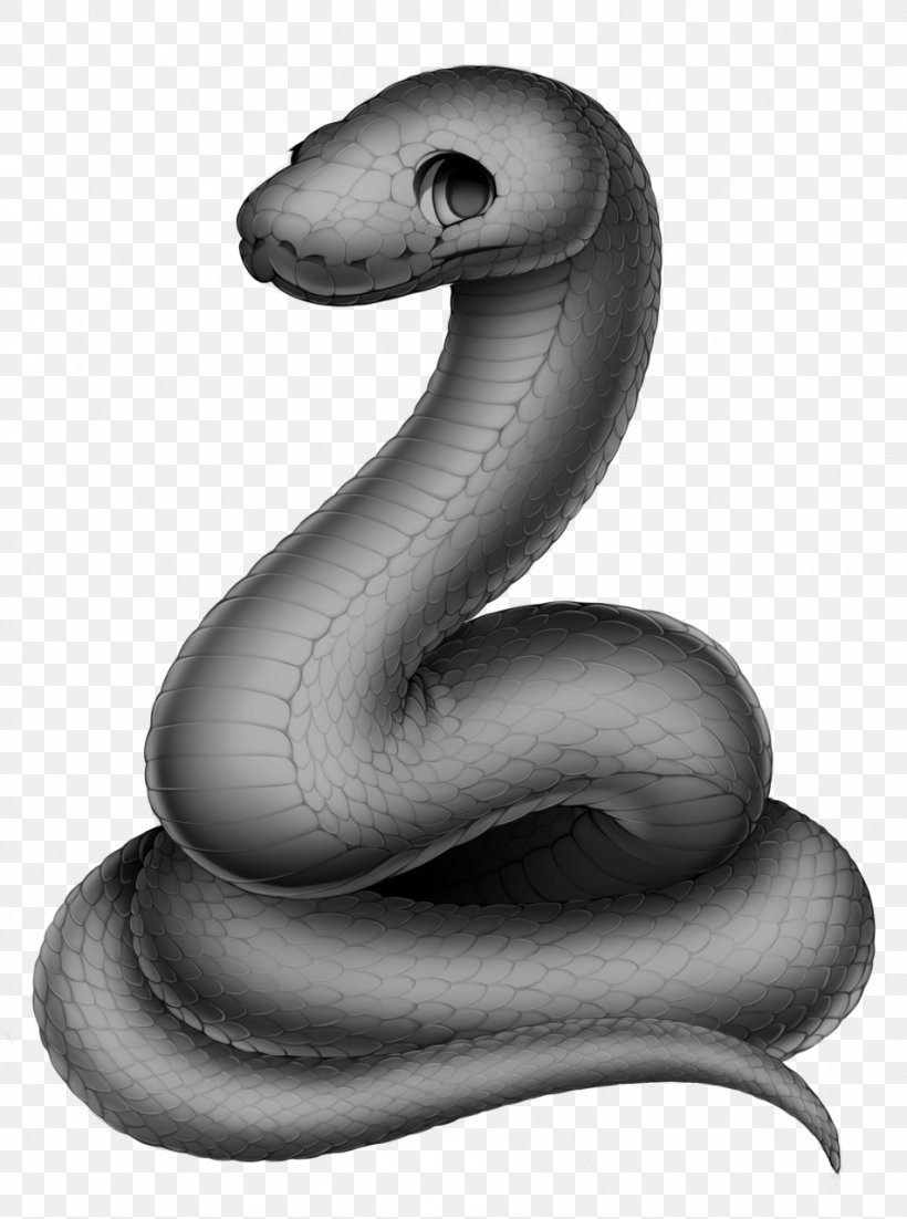 Cape File Snake Serpent Cobra, PNG, 952x1280px, Snake, Bit, Black And White, Cape File Snake, Cobra Download Free