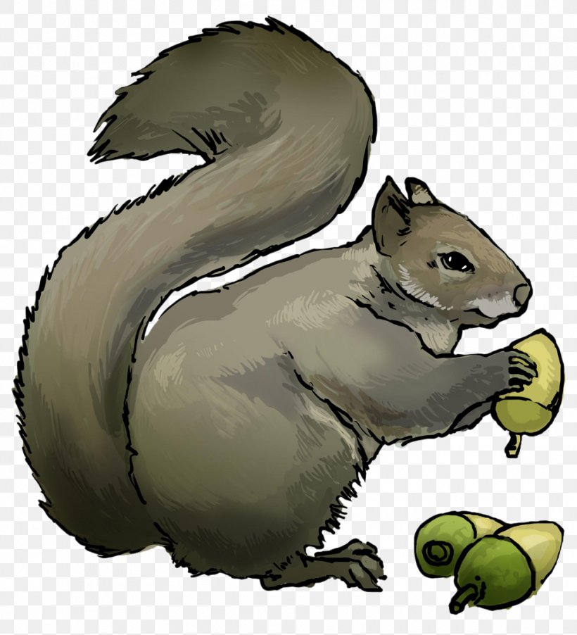 Eastern Gray Squirrel Chipmunk Rodent Clip Art, PNG, 992x1092px, Squirrel, Acorn, Animal, Carnivoran, Chipmunk Download Free
