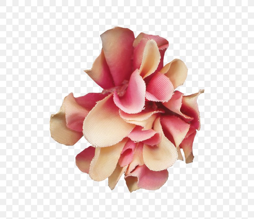 Flower Pink Clip Art, PNG, 670x705px, Flower, Cut Flowers, Flowering Plant, Peach, Petal Download Free