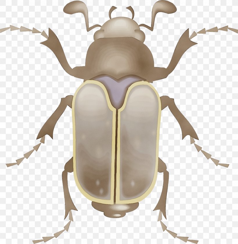 Insect Stag Beetles Beetle Elephant Beetle Cetoniidae, PNG, 1252x1280px, Watercolor, Beetle, Cetoniidae, Elephant Beetle, Insect Download Free