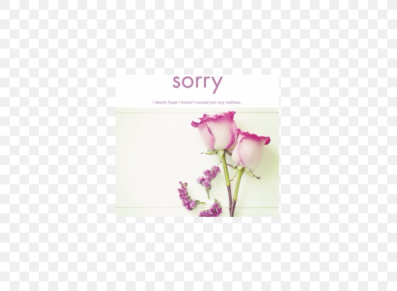 Petal Greeting & Note Cards Artificial Flower Font, PNG, 600x600px, Petal, Artificial Flower, Flower, Greeting, Greeting Card Download Free