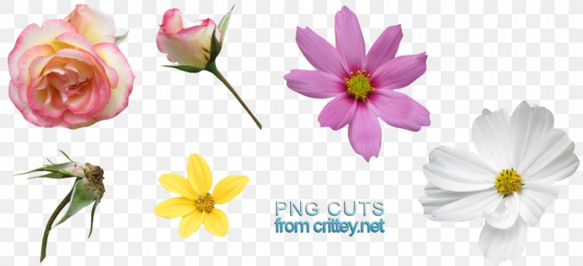 Clip Art Image Floral Design Download, PNG, 888x406px, Floral Design, Art, Cut Flowers, Deviantart, Everyday People Cartoons Download Free