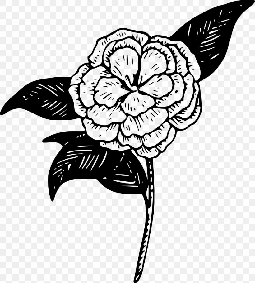 Camellia Clip Art, PNG, 903x1000px, Camellia, Art, Artwork, Bird, Black Download Free