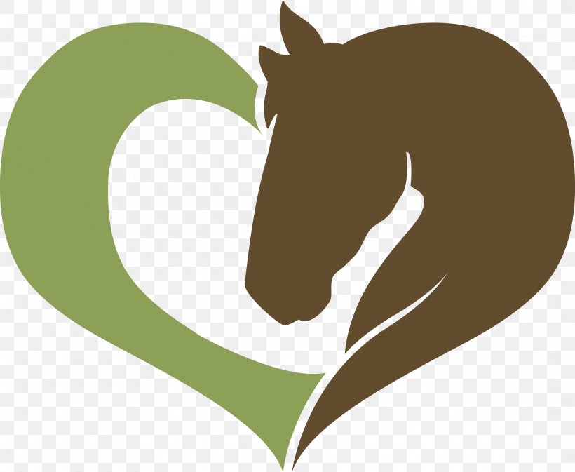 Love Horsemanship Dressage Clinic Workshop Series Equestrian, PNG, 2150x1767px, Horse, Dressage, Equestrian, Grass, Heart Download Free