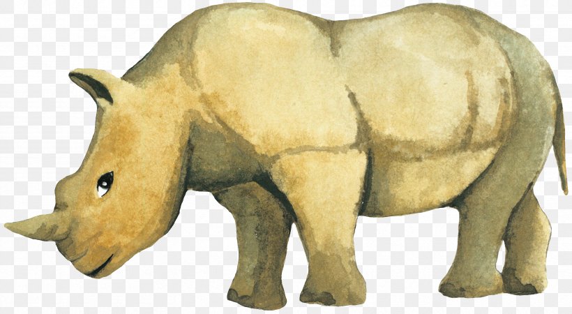 Rhinoceros Drawing, PNG, 3330x1828px, Rhinoceros, Drawing, Fauna, Indian Elephant, Mammal Download Free