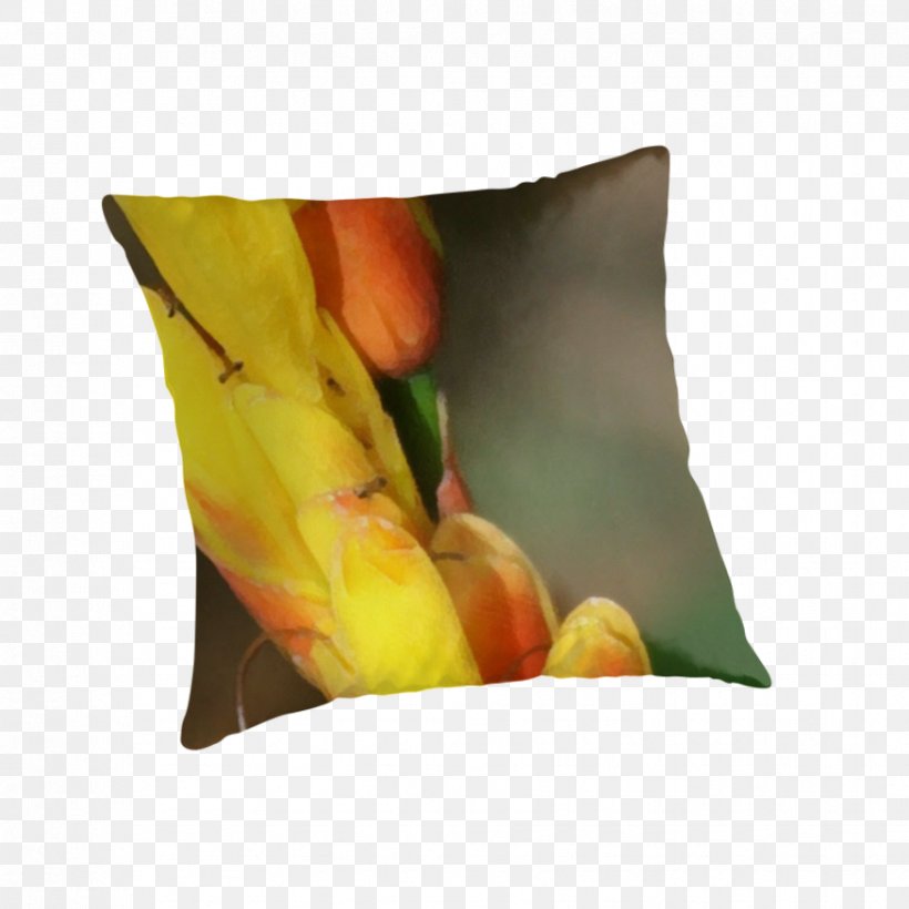 Throw Pillows Cushion Flower, PNG, 875x875px, Throw Pillows, Cushion, Flower, Pillow, Throw Pillow Download Free